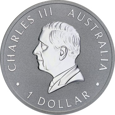 Серебряная монета 1oz Клинохвостый Орел "10-ти летие" 1 доллар 2024 Австралия