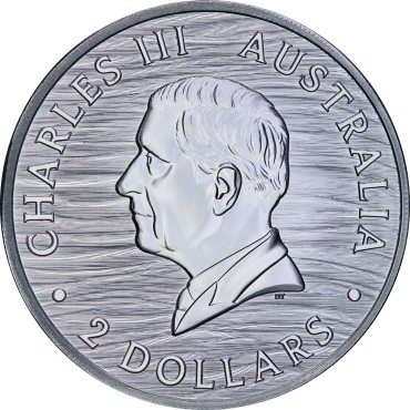 Серебряная монета 2oz Южный Гладкий Кит 2 доллара 2025 Австралия