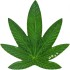 Монета Cannabis Sativa (Маріхуана) 100 франків КФА долар 2011 Бенін (кольорова, посріблена)
