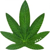 Монета Cannabis Sativa (Марихуана) 100 франков КФА доллар 2011 Бенин (цветная, посеребрённая)