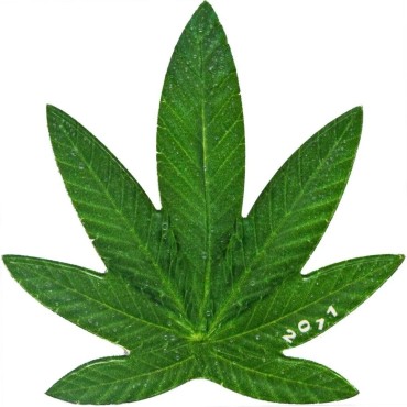 Монета Cannabis Sativa (Марихуана) 100 франков КФА доллар 2011 Бенин (цветная, посеребрённая)