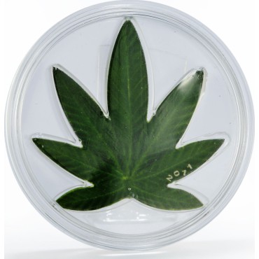 Монета Cannabis Sativa (Марихуана) 100 франков КФА доллар 2011 Бенин (цветная, посеребрённая)