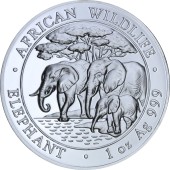 Серебряная монета 1oz Слон 100 шилингов 2013 Сомали