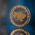 Серебряная монета 1oz Украина Земля Cвободы 1000 Сатоши 2026 Соединенные Крипто Штаты (позолота)