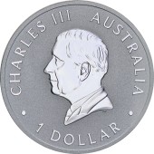 Серебряная монета 1oz Коала 1 доллар 2026 Австралия