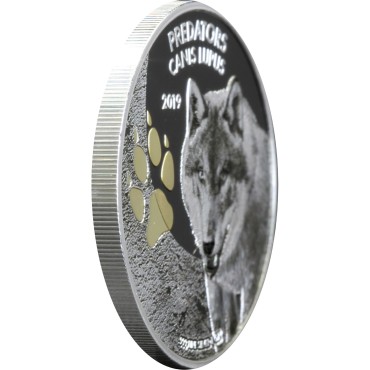 Серебряная монета 1oz Волк (Canis Lupus) 20 франков Конго 2019 (позолота