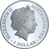 Срібна монета 1oz Пляшконосий Дельфін 1 долар 2019 Австралія