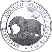 Серебряная монета 1oz Слон 100 шиллингов 2022 Сомали