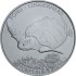Серебряная монета 1oz Головастая Черепаха 5 долларов 2019 Токелау
