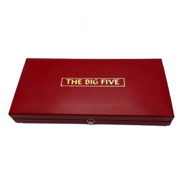 Набор золотых раундов 1/10oz (5шт.) "Большая Африканская Пятёрка" 2004 Южная Африка