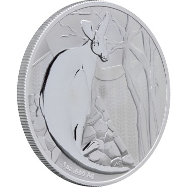 Серебряная монета 1oz Кенгуру 1 доллар 2022 Австралия (Frosted Uncirculated)