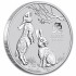 Срібна монета 2oz Рік Кролика 2 долара 2023 Австралія