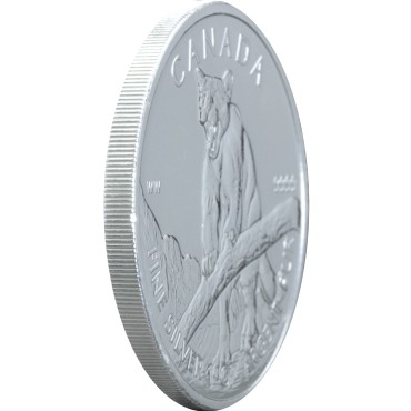 Серебряная монета 1oz Пума Дикая Природа 5 долларов 2012 Канада