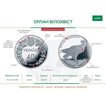 Серебряная монета Орлан-белохвост 10 гривен 2019 Украина