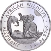 Срібна монета 1oz Слон 100 шилінгів 2024 Сомалі