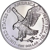 Серебряная монета 1oz Американский Орел "Освобождение Украины" 1 доллар 2022 США